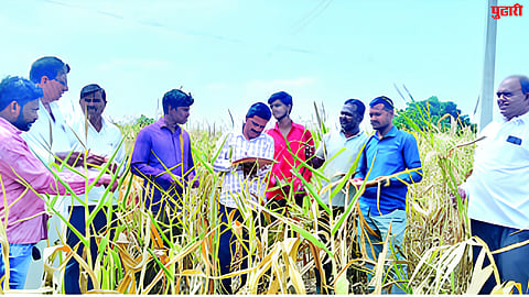 Jalna News