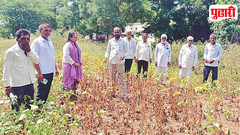 Kopargaon Crop Damage Panchnama