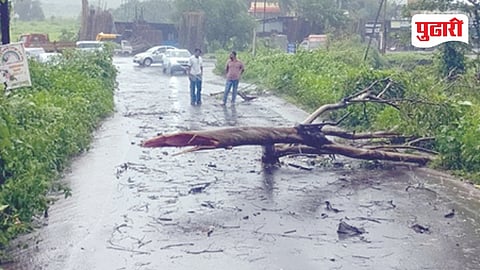 Raigad heavy rainfall