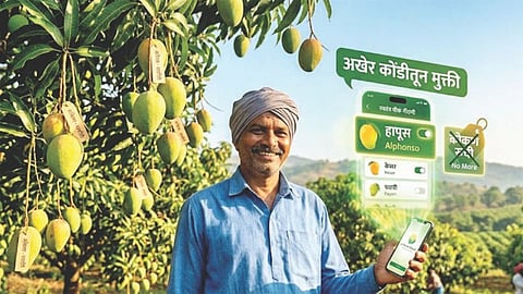 Hapus Mango