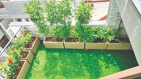 Terrace Gardening