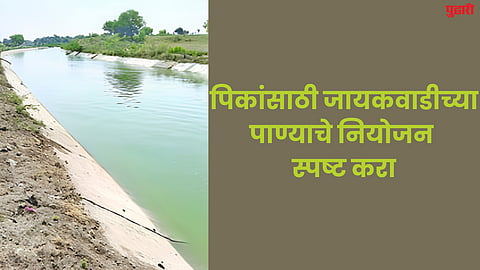 Jayakwadi water
