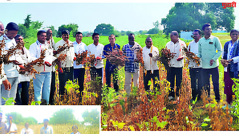jalna news