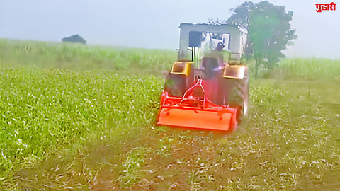 Latur Agriculture News