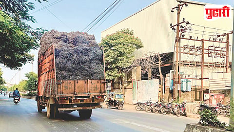 Scrap Transport