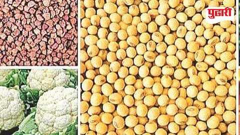 Agriculture News