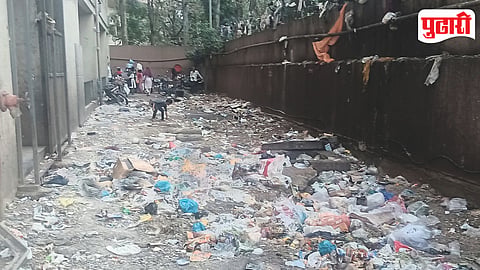 Bhosari Drainage Silt