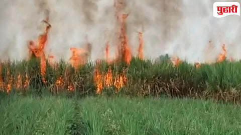 Kolhapur News : अज्ञात व्यक्तीने लावलेल्या आगीत गौरवाड येथे आठ एकर ऊस जळून खाक; लाखोंचे नुकसान