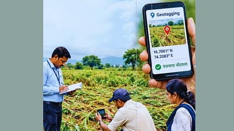 Crop Damage