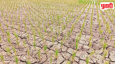 Drought