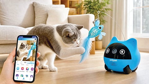 Pet Companion Robot |