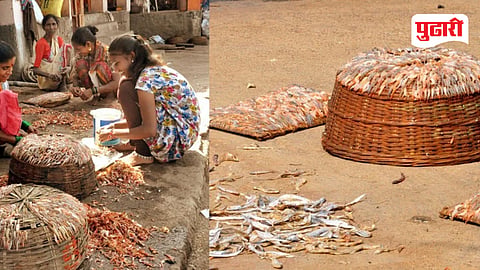 Raigad fishing season