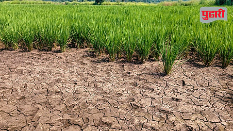 Wada Palghar drought