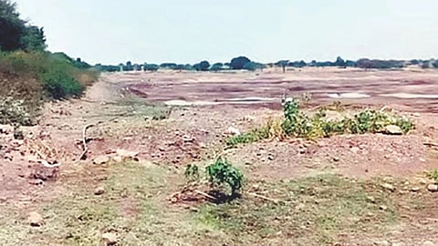 Solapur News : जलसंधारण कामांना गती द्या