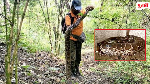 Snake Rescuers Titwala