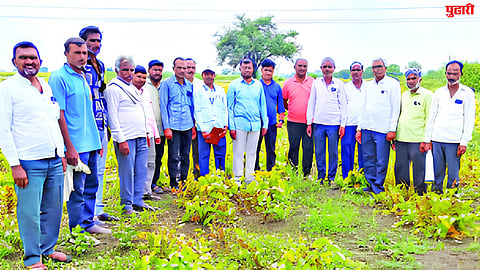 Latur News