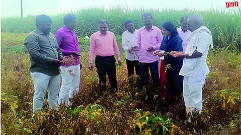 Drought Inspection