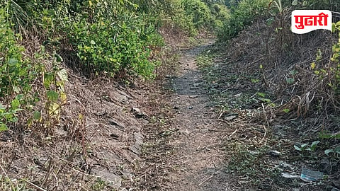 Surya Project Palghar