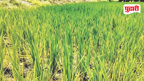 Raigad October Heat