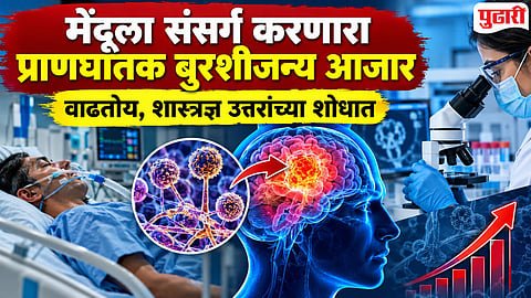 Brain Fungal Infection : मेंदूला संसर्ग करणारा प्राणघातक बुरशीजन्य आजार वाढतोय, शास्त्रज्ञ उत्तरांच्या शोधात