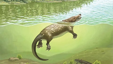 Platypus-like Creature |