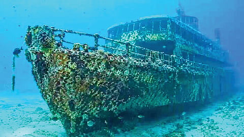Marine Ecosystem |