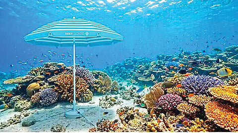 Coral Reef Protection |