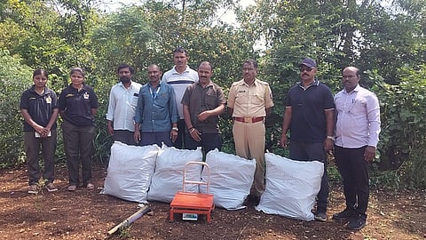Dharashiv Crime : हिप्परगाराव वाडीत सलग दुसऱ्या दिवशी कारवाई; आणखी ४५ किलो गांजा जप्त; सव्वातीन कोटींचा आकडा पार