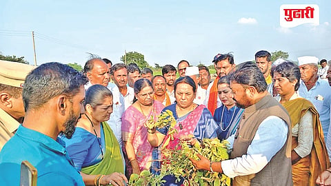 Drought Management