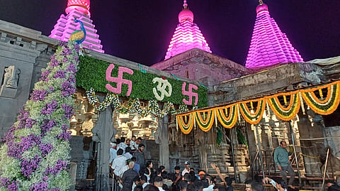 (छाया : नाज ट्रेनर)