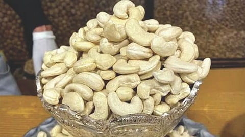 Cashew News