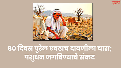 Drought