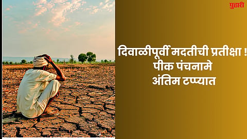Crop damage assessment reports
