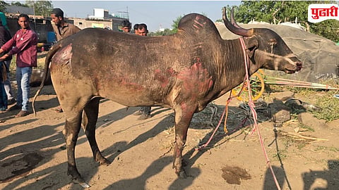 Kannad Kunjkheda Fire Incident