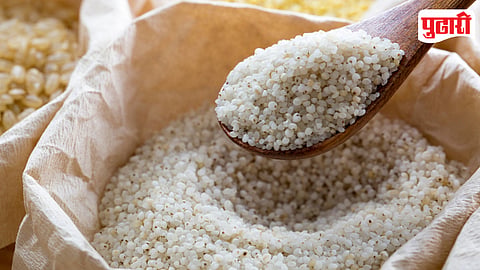 Barnyard Millet