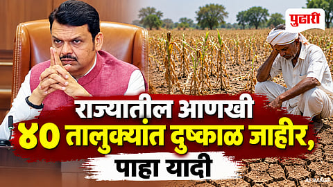 Maharashtra Drought News