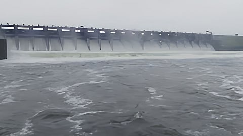 वाघूर प्रकल्प