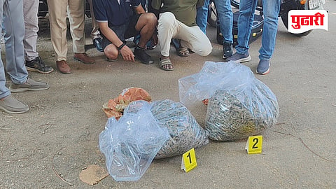 Ulhasnagar Ganja Seizure