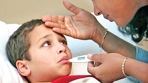 Typhoid Ulcers |