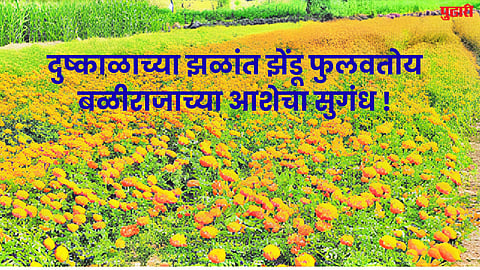 Dharashiv News