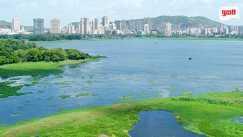 Powai Lake Water