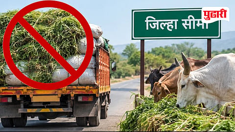 Latur Fodder Shortage Prevention