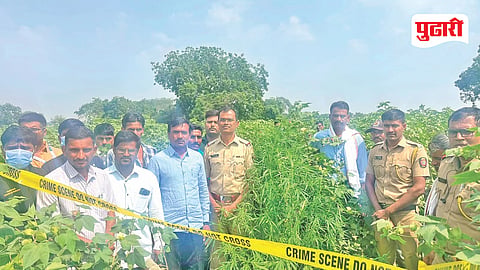 Illegal Cannabis Cultivation