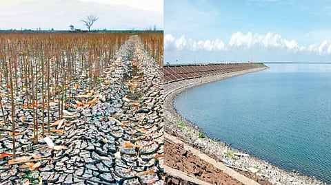 Drought & Water Distribution |