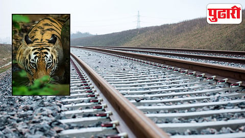 Painganga tigress train accident