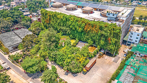 Bangladesh Carpet Factory |