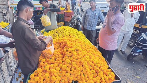 Marigold Dussehra Shopping