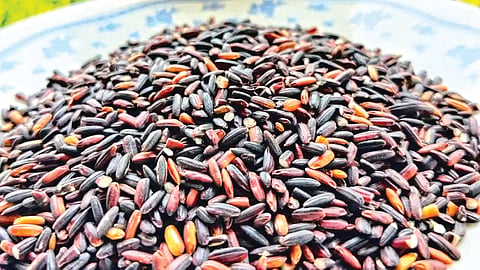 Black Rice |