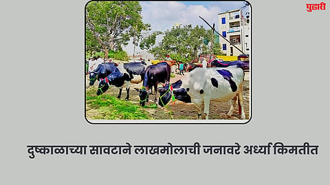 Beed News