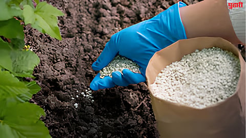 Fertilizer